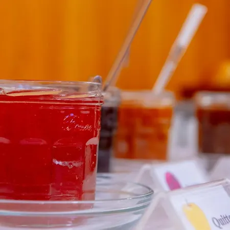 Christliche Gaestehaeuser Weinstrasse * Neustadt an der Weinstraße