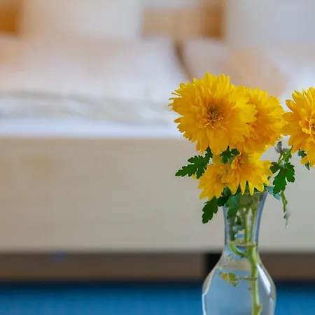 Christliche Gaestehaeuser Weinstrasse Отель Нойштадт-ан-дер-Вайнштрасе