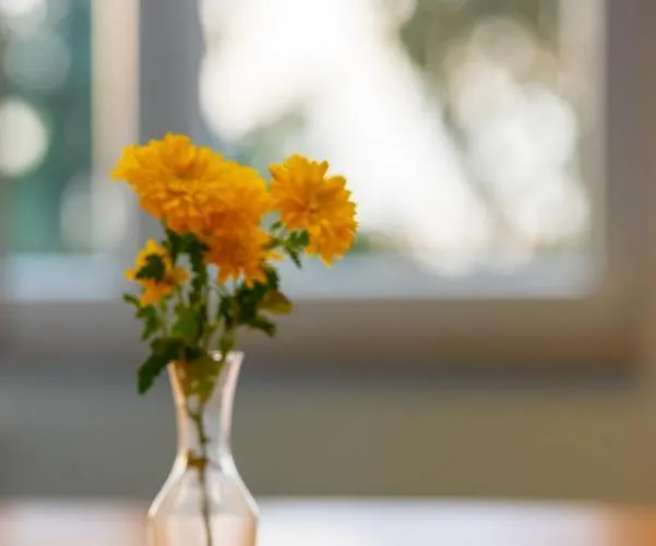 Hotel Christliche Gaestehaeuser Weinstrasse Neustadt an der Weinstraße